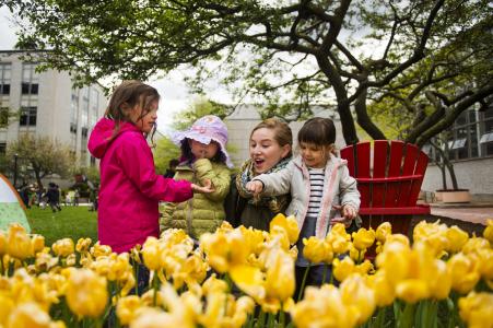 Northeastern University Arboretum spring