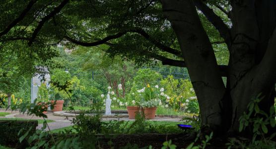 Ourdoor garden