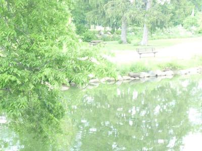 Dayton VA Medical Center Gardens & Grotto