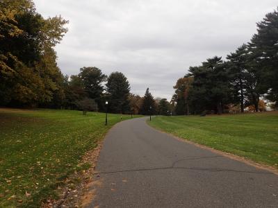 Florham Arboretum street view