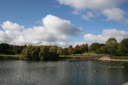 Lake and trees