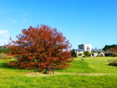 Grigadale Arboretum