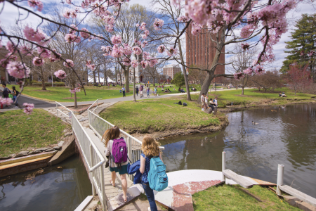 Frank A. Waugh Arboretum - spring