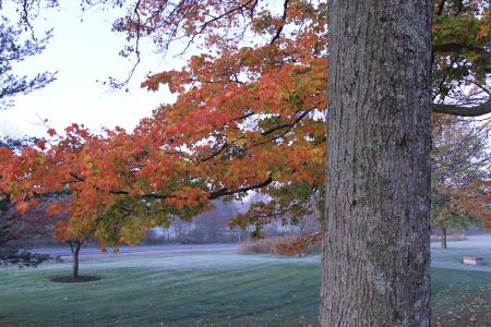 Columbus Academy grounds