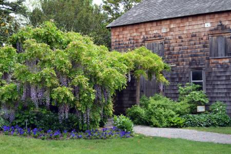 Willowwood Arboretum