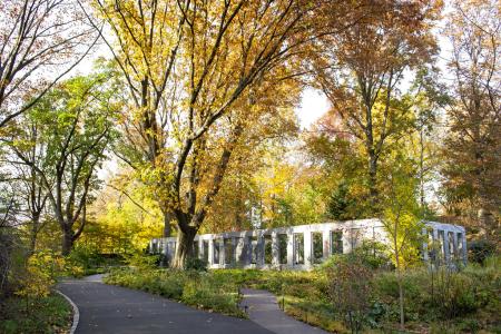 Woodland Garden