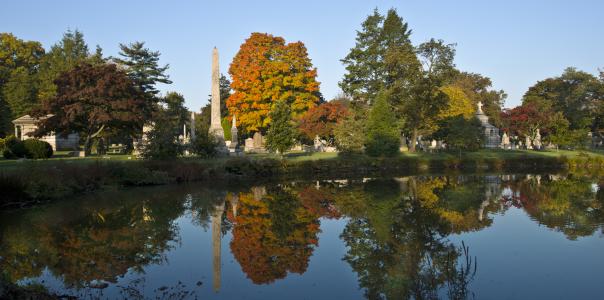 Woodlawn Cemetery Fall