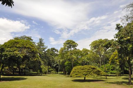 Botanic Garden Medellin