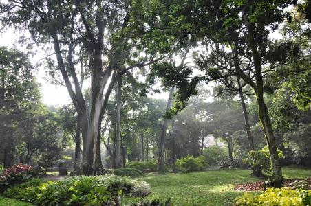 Botanic Garden Medellin