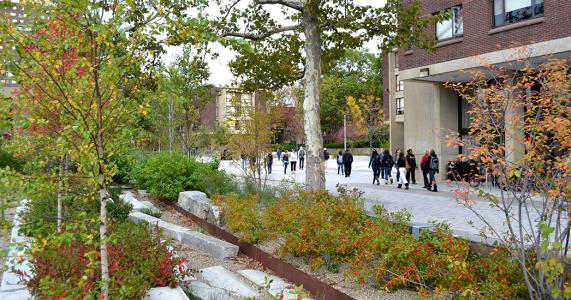 Frank A. Waugh Arboretum - rain garden