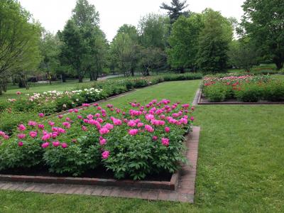 Ashland- The Henry Clay Estate - spring