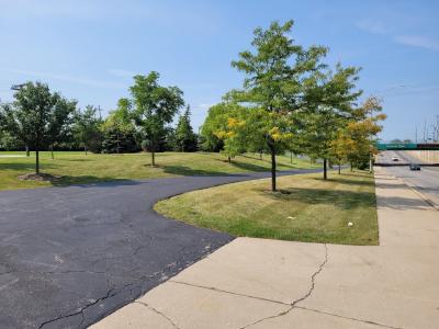 Arboretum trees