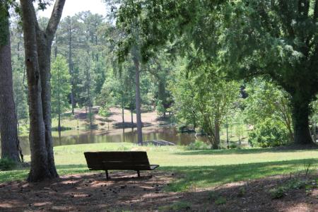 bench