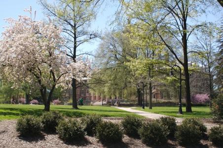 Penn State spring trees on campus Penn State spring trees