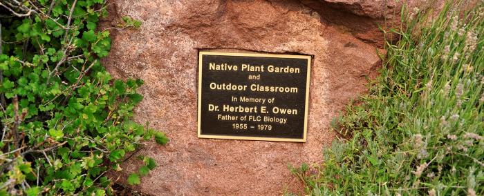 Native Plant Garden