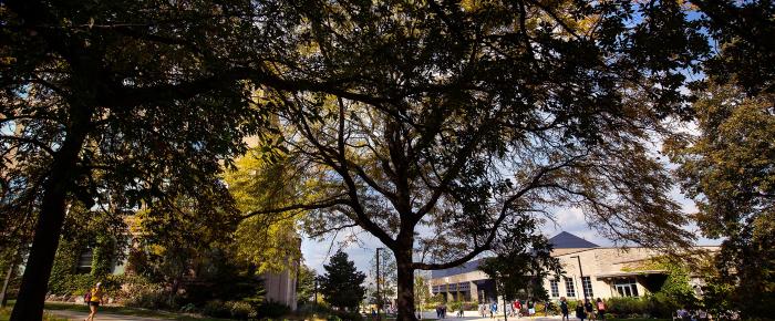 Arboretum campus fall