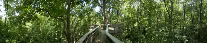 U of Alabama Arboretum