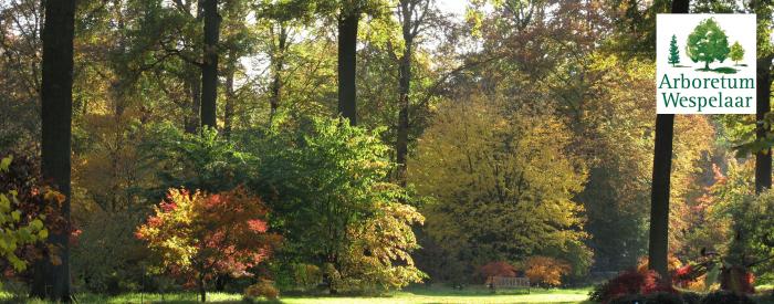 Arboretum Wespelaar