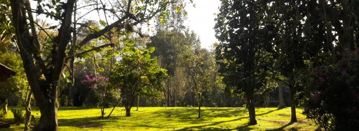 Jardin Botanico Francisco