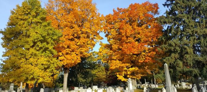 Mount Hope Cemetery