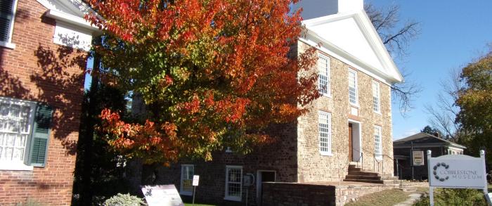 autumn trees