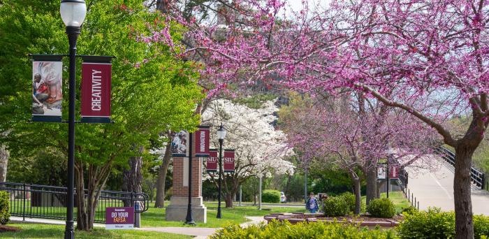 campus trees