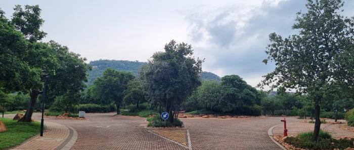 Arboretum trees