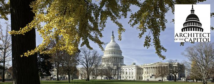 United States Capitol Grounds