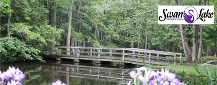 Swan Lake Arboretum 