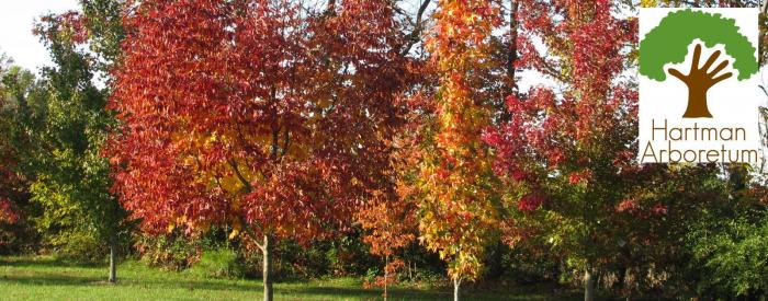 Hartman Arboretum