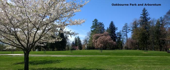 Oakbourne Arboretum - Cherry Tree Oakbourne Arboretum Cherry Tree