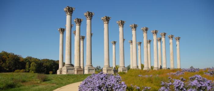 Autumn Capitol Column