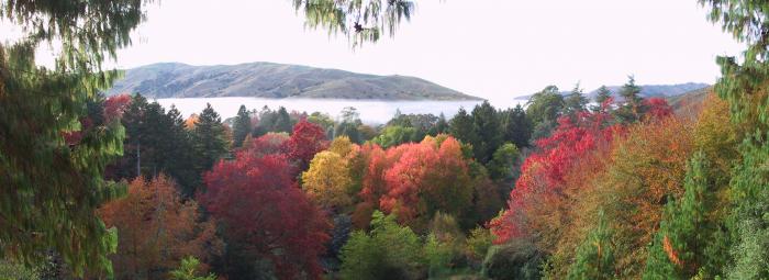 Autumn lookout Autumn lookout