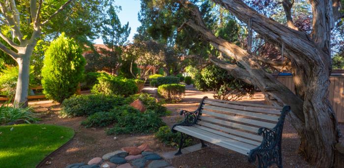 Bench with trees