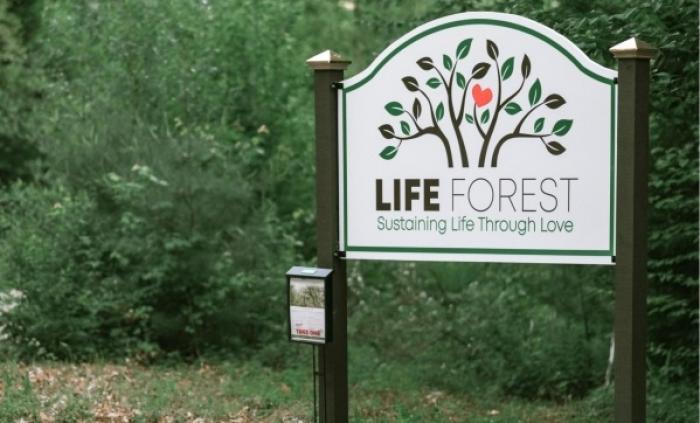 Life Forest