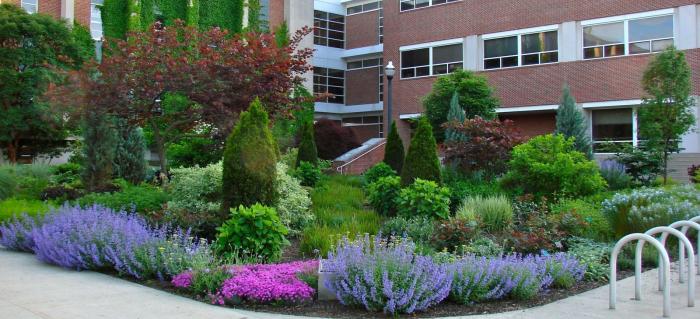 garden garden
