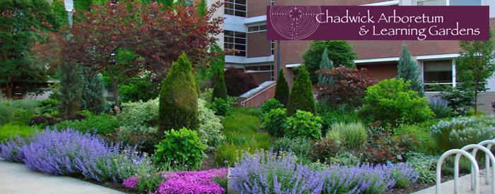 Chadwick Arboretum