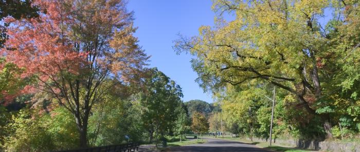 park park