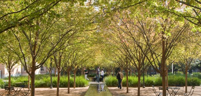 Crownover Courtyard Rice University - trees