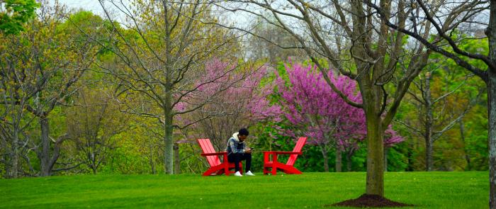 Campus trees