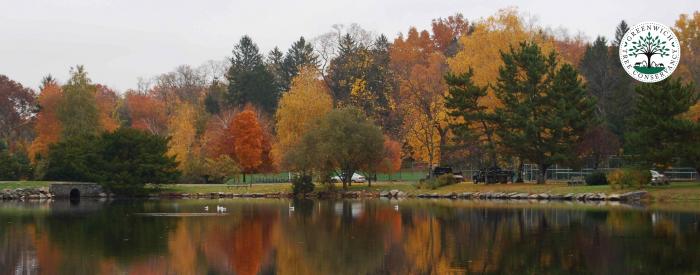 Greenwich Town Arboretum - fall trees