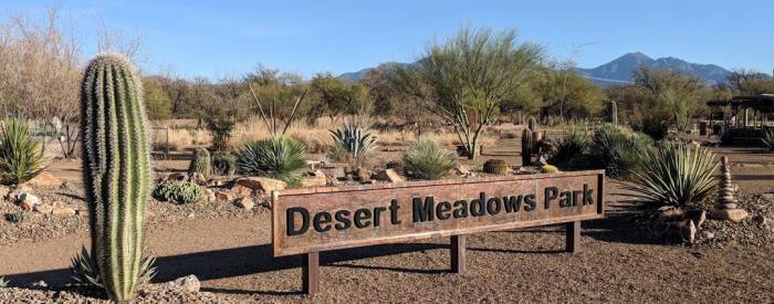 Desert Meadows Park