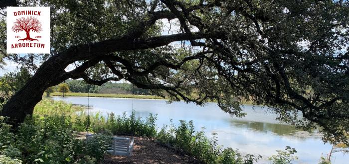 Dominick Arboretum lake