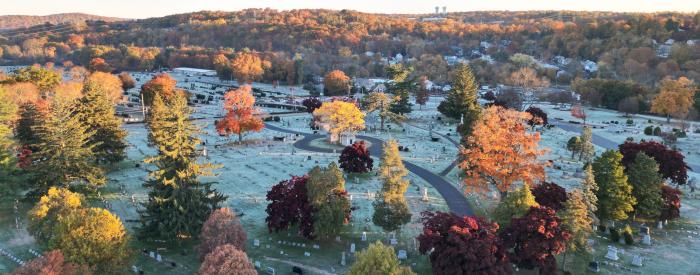 Fall Drone