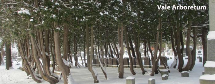 Vale Arboretum Family plot