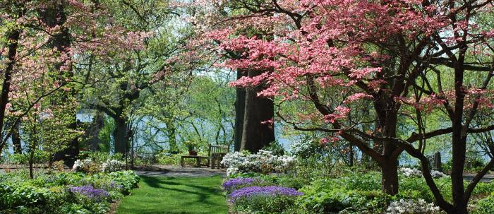 Green Walk spring