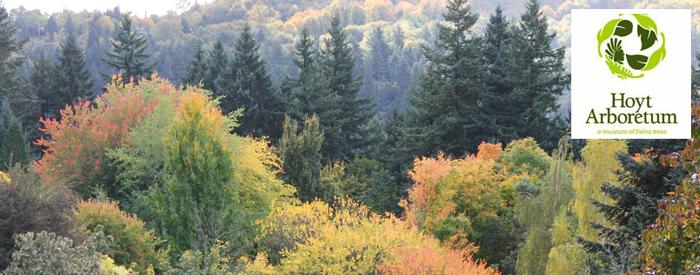 Hoyt Arboretum