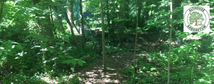 Althouse Arboretum Althouse Arboretum - walking trails