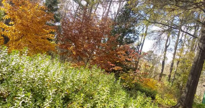 arboretum arboretum