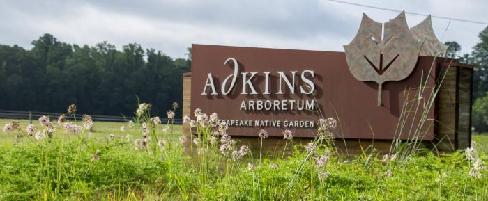 Adkins Arboretum